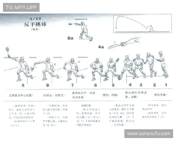 成都羽毛球队的整体压制揭秘与深度分析羽毛球运动的战术与技巧